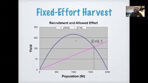 <p>Yield decreases with lower prey densities</p><p>Low slope = low effort</p><p>Steep slope = high effort</p><p>Stable where harvest rate = recruitment rate</p>