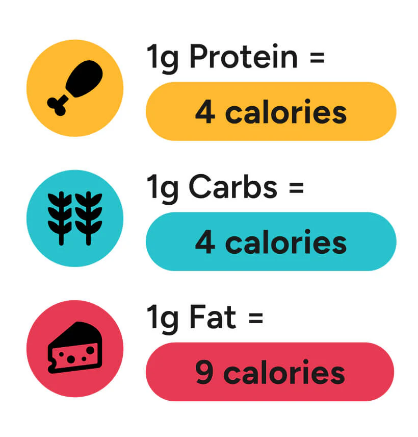 <p>Calories important for survival</p>