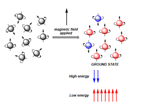 <p>Running an NMR experiment (theory)</p>
