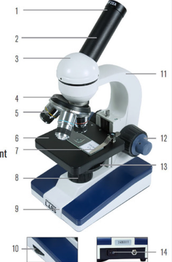 <p>Turns the microscope on and off</p>