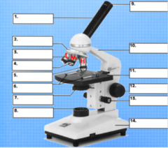 <p>What is #10, and what is its function?</p>