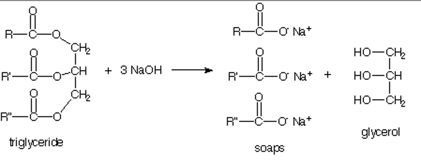 <p>the reaction between a fat and a strong base to produce glycerol and the salt of a fatty acid (soap) - the ester hydrolysis of triacylglycerols using a strong base. Traditional base is lye (sodium or potassium hydroxide)</p>