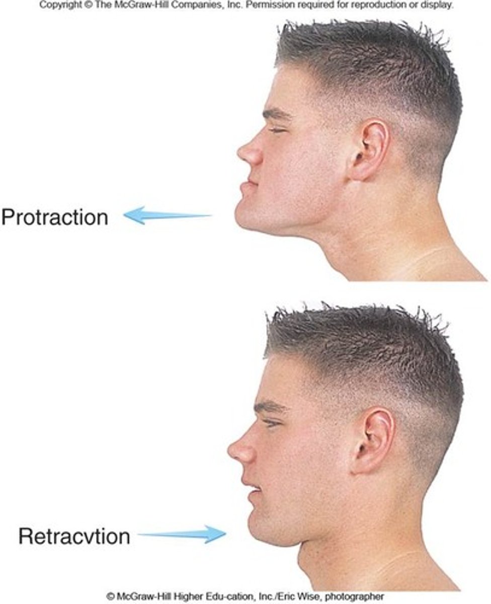 <p>Anterior / posterior movement along transverse plane</p><p>Ex. Mandible (stick chin out / pull chin back)</p>