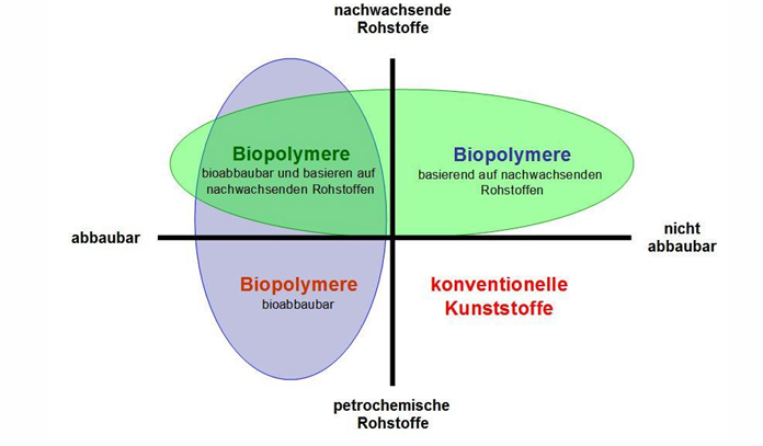 <p><strong>Zwei unabhängige Klassifizierungskriterien:</strong></p><ol><li><p><strong>Rohstoffbasis:</strong> nachwachsend vs. petrochemisch</p></li><li><p><strong>Abbaubarkeit:</strong> abbaubar vs. nicht abbaubar</p></li></ol><p></p><p><strong>Wichtig:</strong> Beide Kriterien sind unabhängig voneinander – „biobasiert" ≠ „bioabbaubar"!</p><table style="min-width: 75px;"><colgroup><col style="min-width: 25px;"><col style="min-width: 25px;"><col style="min-width: 25px;"></colgroup><tbody><tr><th colspan="1" rowspan="1"><p></p></th><th colspan="1" rowspan="1"><p>abbaubar</p></th><th colspan="1" rowspan="1"><p>nicht abbaubar</p></th></tr><tr><td colspan="1" rowspan="1"><p><strong>nachwachsende Rohstoffe</strong></p></td><td colspan="1" rowspan="1"><p>PLA -Polymilchsäure</p></td><td colspan="1" rowspan="1"><p>Bio-PE - Biomassebasiertes Polyethylen</p></td></tr><tr><td colspan="1" rowspan="1"><p><strong>petrochemische Rohstoffe</strong></p></td><td colspan="1" rowspan="1"><p>PBAT, PCL</p></td><td colspan="1" rowspan="1"><p>konventionelle Kunststoffe, z. B. PE, PP, PVC - Polyvinylchlorid</p></td></tr></tbody></table><p></p><p>Ein biobasierter Kunststoff kann trotzdem nicht abbaubar sein (Bio-PE = chemisch identisch mit fossilem PE), und ein abbaubarer Kunststoff kann trotzdem aus Erdöl stammen (PBAT).</p>