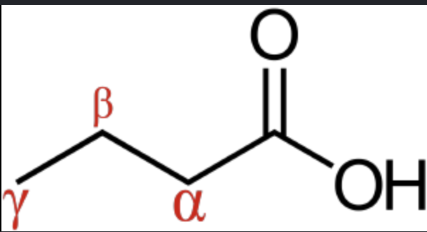 <p><span style="background-color: transparent;">The alpha carbon is the carbon</span></p>