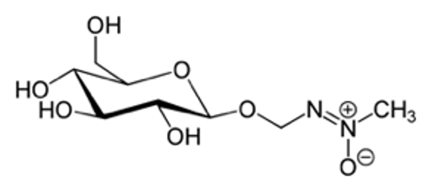 <p>poison contained in cycads, mutagen (neurological disorders)</p>