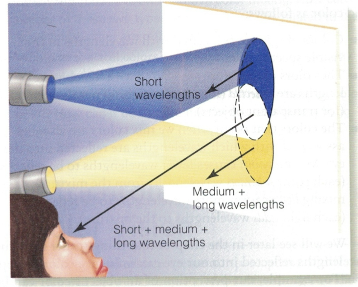 <ul><li><p>Mixing red and green light makes yellow light.</p></li><li><p>If you mix blue light with yellow light (i.e. light that contains both green and red), you will get light that contains blue, green and red.</p></li><li><p>This light will look white because that is what what white light is - a mixture of all three colours.</p></li></ul><p></p>