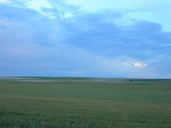 <p>căn hộ</p>
