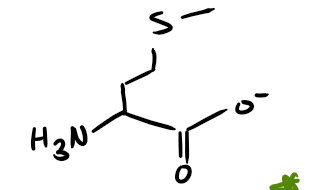 <p></p>