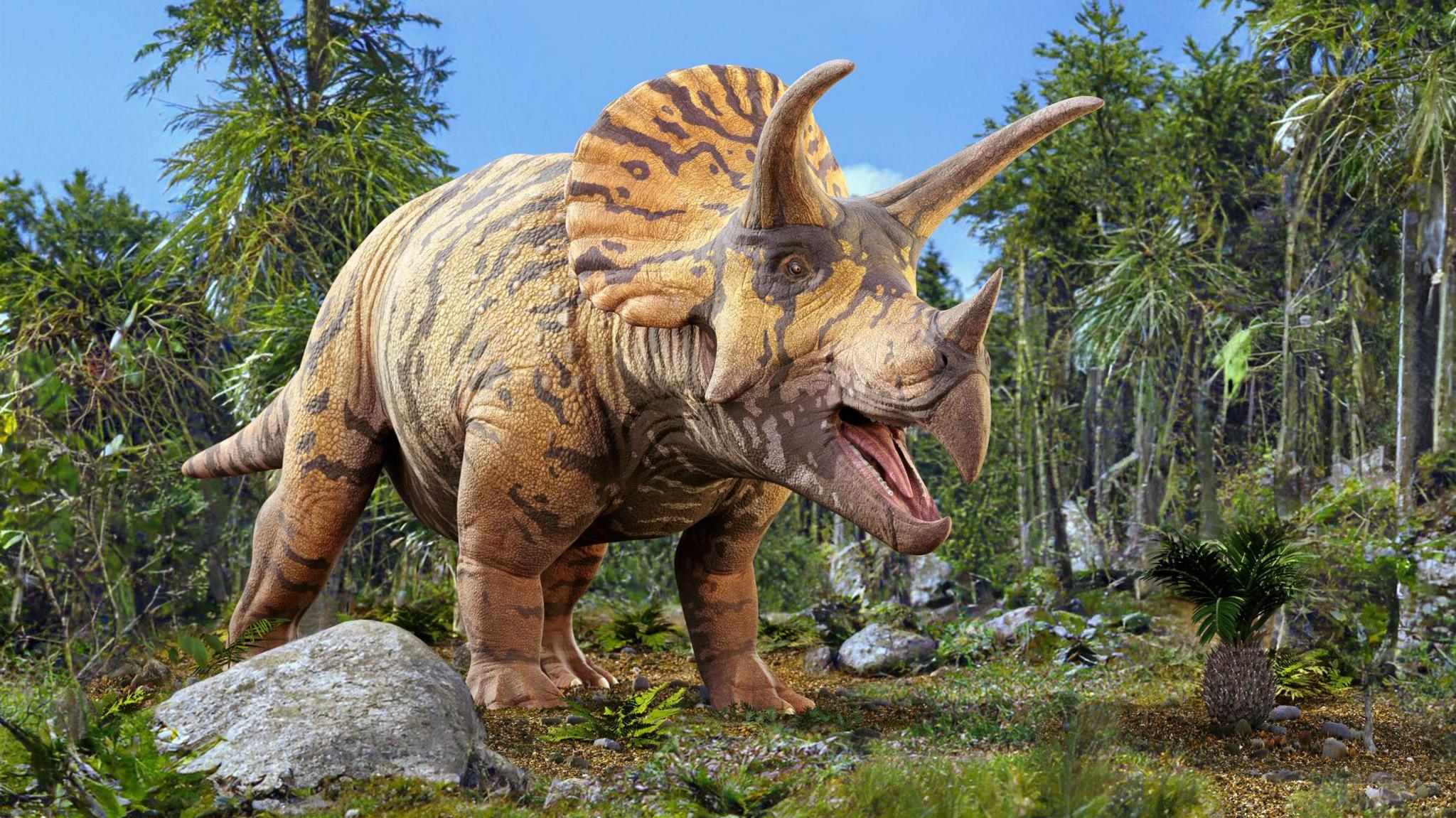 <ul><li><p>Ornithischians</p></li><li><p><span>lived during the </span>Late Cretaceous Period<span>, </span><mark data-color="rgba(0, 0, 0, 0)" style="background-color: rgba(0, 0, 0, 0); color: inherit;">approximately 68 to 66 million years ago</mark><span>. It was one of the last non-avian dinosaurs to walk the Earth before the Cretaceous-Paleogene (K-Pg) mass extinction</span></p></li></ul><p></p>