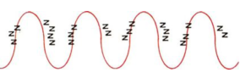 <p>deeper, rumbling, sounds like "snore" caused by obstruction/secretion in larger airways. Often clears with cough</p>