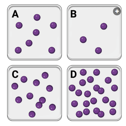 <p>The figure shows four containers of the same size. The purple dots represent molecules within each container. Note that the temperature within each container is identical.&nbsp;<br>In which container would you expect to observe the greatest number of interactions between molecules?</p><p><br>a. Container A<br>b. Container B<br>c. Container C<br>d. Container D</p>