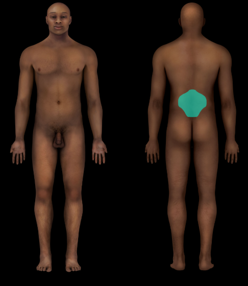 term image