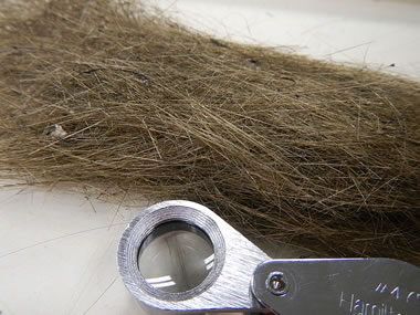 <p><span>Which of the following best explains why <strong>Pele’s Hair</strong> is classified as a mineraloid?</span></p>