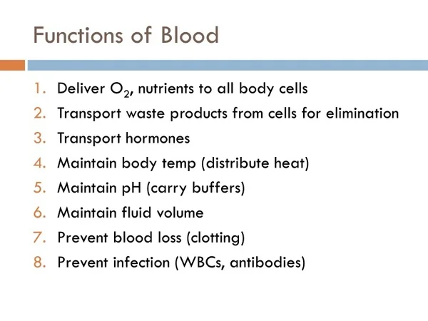 <p>Transports gases, nutrients, wastes, hormones, and other substances throughout the body.</p>