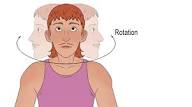 <p>what tipe of motion occurs when you turn your head from side to side </p>