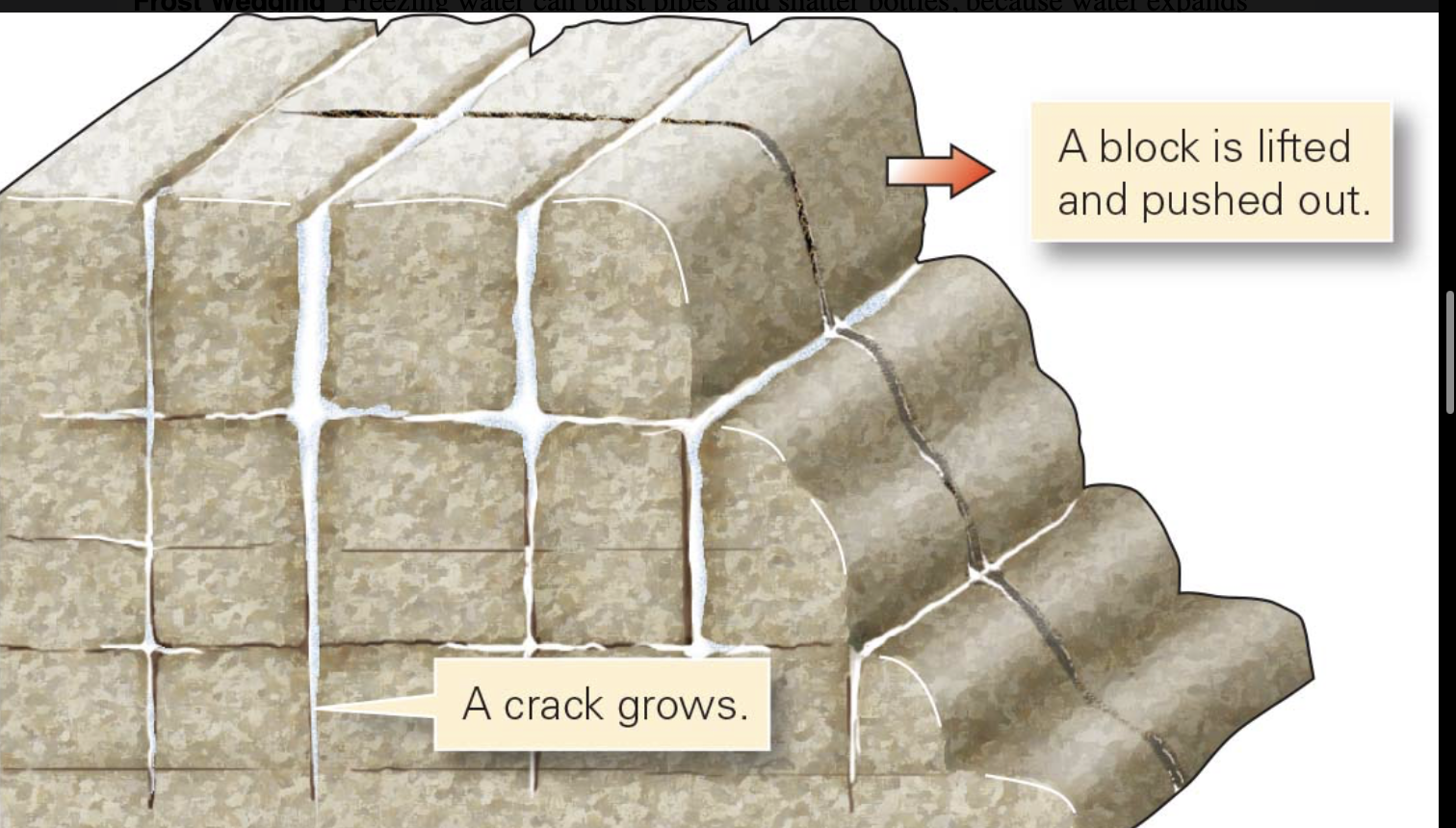 <p>form of mechanical weathering where water seeps into cracks in rocks, freezes, and expands<span> because water expands by about 9% when it turns to ice</span></p><ul><li><p><span>continuous freeze-thaw cycle acts like a wedge, eventually shattering the rock into smaller pieces</span></p></li></ul><p></p>
