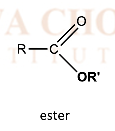 <ul><li><p>first R group attached to oxygen ends with ‘yl’</p></li><li><p>followed by parent carboxylic acid replacing ‘oic acid’ with ‘oate’</p></li><li><p>eg phenyl ethanoate</p></li></ul><p></p>