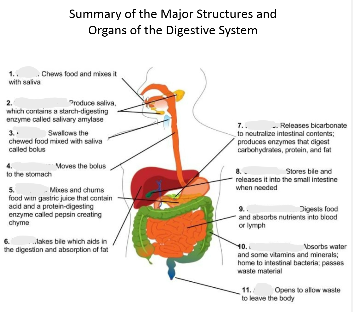 <p>What are the names of the organs? 8, 10</p>