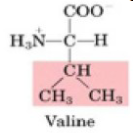 <p><span style="color: rgb(255, 255, 255);">Proteins with the amino acid valine on their surface often stick together when placed in water. Why?<br>Here is the structure of the amino acid valine:<br>A. Valine forms H-bonds with water.<br>B. Valine forms H-bonds with other valine molecules rather than with water.<br>C. Valine is attached to other valine by very strong van der Waals interactions.<br>D. Due to the hydrophobic effect, H2O forms a network of H-bonds around collected valines.<br>E. Valine's R-group forms covalent bonds with other valine R-groups.</span></p>