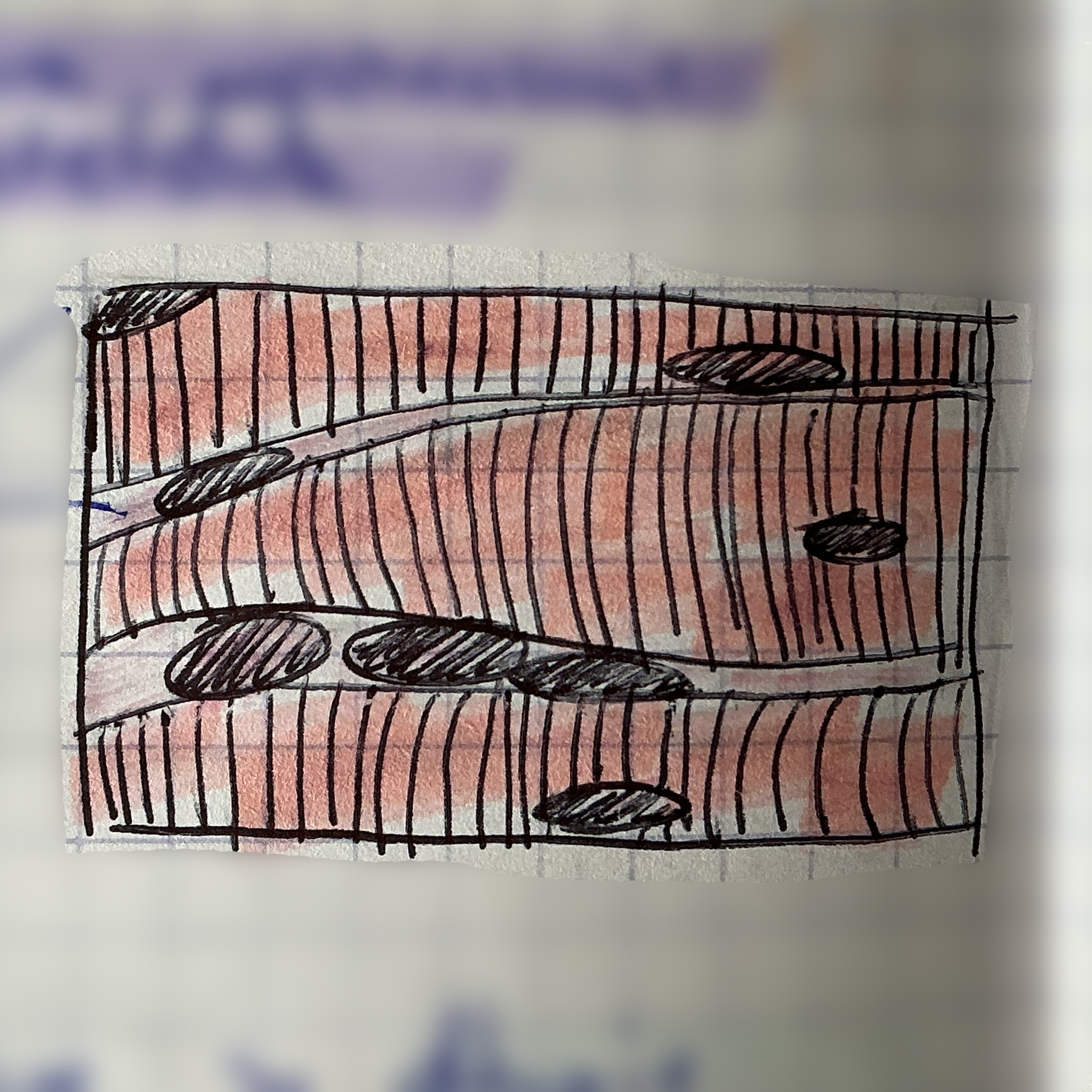 <p>jaka to tkanka?</p>