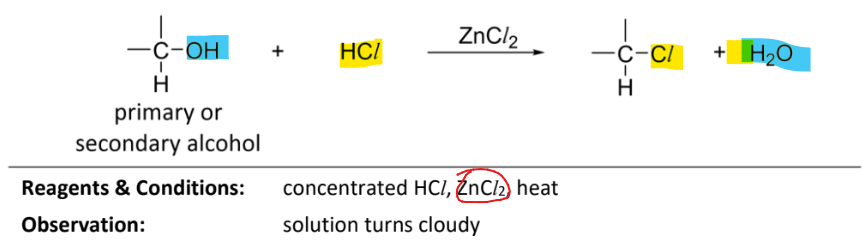 <p>RnCs: concentrated HCl, ZnCl2(catalyst), heat</p><p>Observation: solution turns cloudy</p>