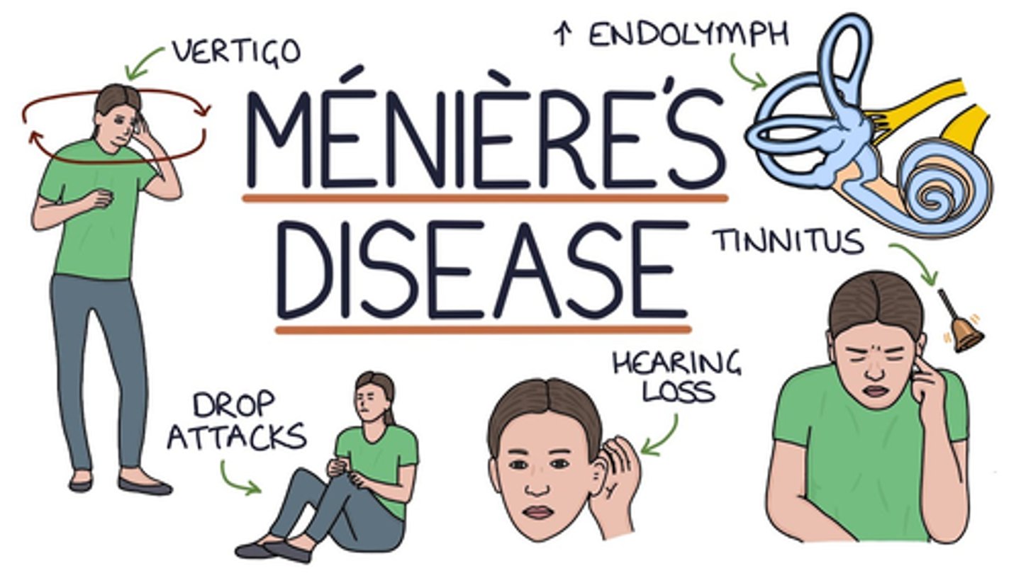 <p>D) Ménière's disease</p><p>EXPLANATION</p><p>The Ménière disease is characterized by a continues spinning vertigo, lasting for at least 1-2 hours, accompanied by tinnitus and unilateral hearing loss. In later phase the tinnitus and hearing loss can be permanent.</p>