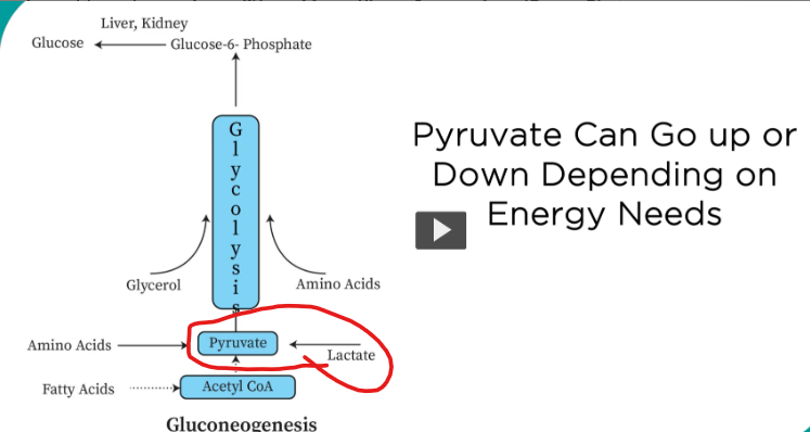 <p>this is for context on the last flashcard</p>