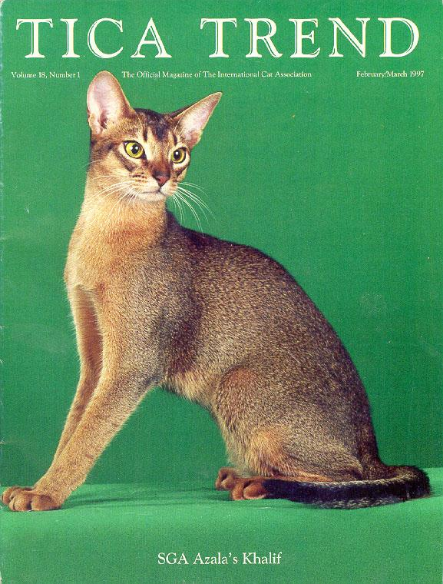 <p>Brown-Reddish Color, Yellow Almond Shaped Eyes, Big Ears</p>