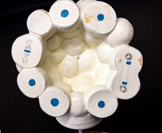 <p>What is this?</p>