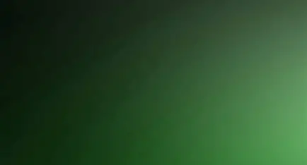 <p>Lithium (light green) or sodium (dark green) heparin</p><p>Note: Lithium heparin can’t test for lithium levels</p><p>8-10 inversion</p><p>STAT chemistry- quick tests</p><p>Troponin tests, ammonia-elevated in liver failure, electrolytes, lactate-evaluates tissue hypoxia(shock)</p>