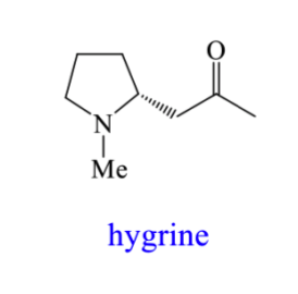 <p>How can we invetsigate the biosynthesis of hygrine?</p>