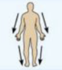 <p>farther form the origin of a body part or the point of attachment of a limb to the body trunk</p>