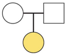 <p>In the following pedigree, the&nbsp;inherited condition is due to an autosomal dominant allele.&nbsp;T/F?&nbsp;</p>