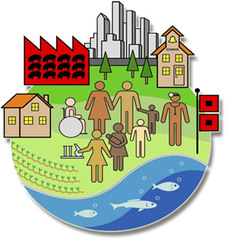 <p>All the different populations that live together in an area</p>