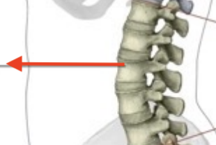 <p>What is this structure?</p>