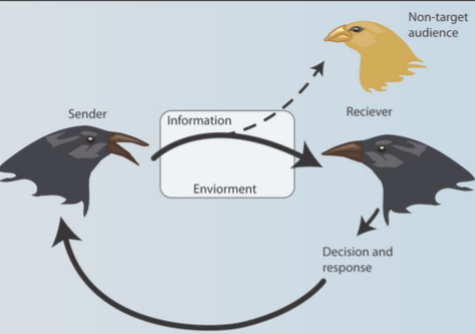 <p>Why is this diagram known as a communication network?</p>