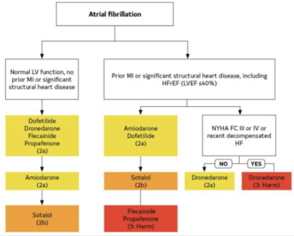 <p><span style="background-color: transparent;">AADs for Maintenance of Normal Sinus Rhythm</span></p>