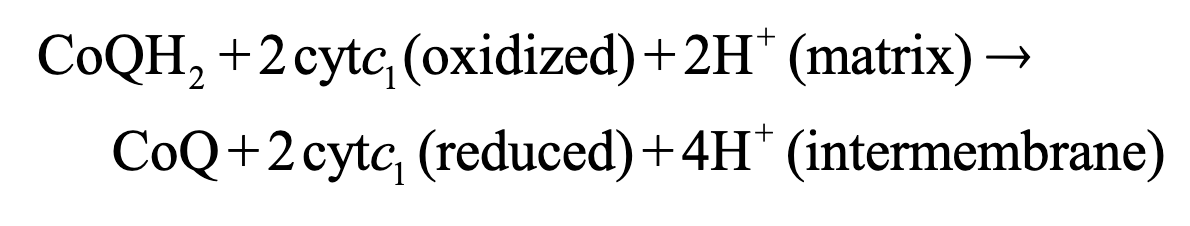 <p>Occurs inside of Complex III</p><ol><li><p>1 electron is transferred to cytochrome c<sub>1</sub>, another is transferred via cytochrome b to a CoQ, making semiquinone </p></li><li><p>CoQ is released, CoQH<sub>2</sub> transferes another electron to cytochrome c<sub>1</sub> and its other is transferred via cytochrome b to a CoQ, making semiquinone</p></li></ol><p></p>