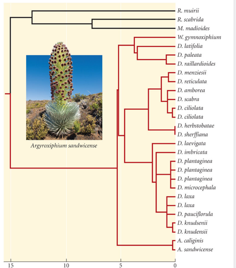 <p>S = 0.56; ancestor 5 mya from CA</p>