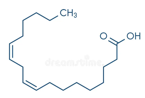 <p>omega6-vetzuur, C18,delta2: vanaf 6 langs vanachter </p>