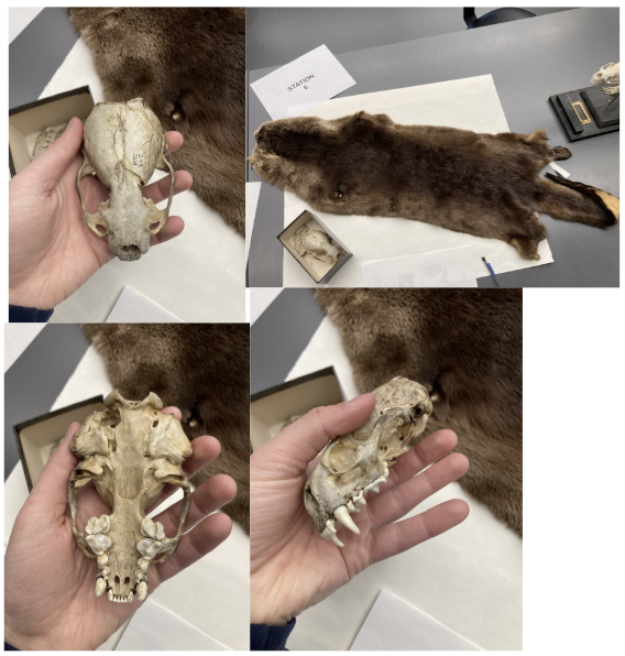 <p>What is this?</p>