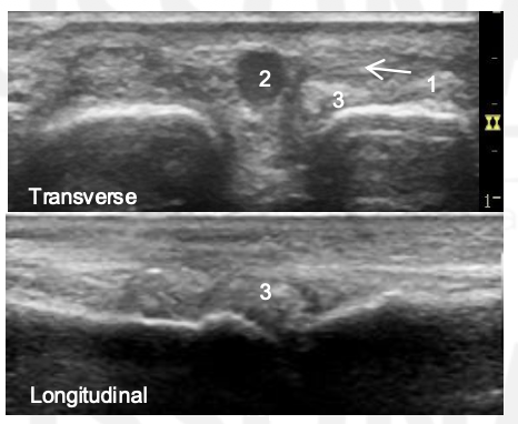 <p>What view is this?</p>