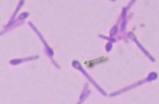 <p>What is this?</p>