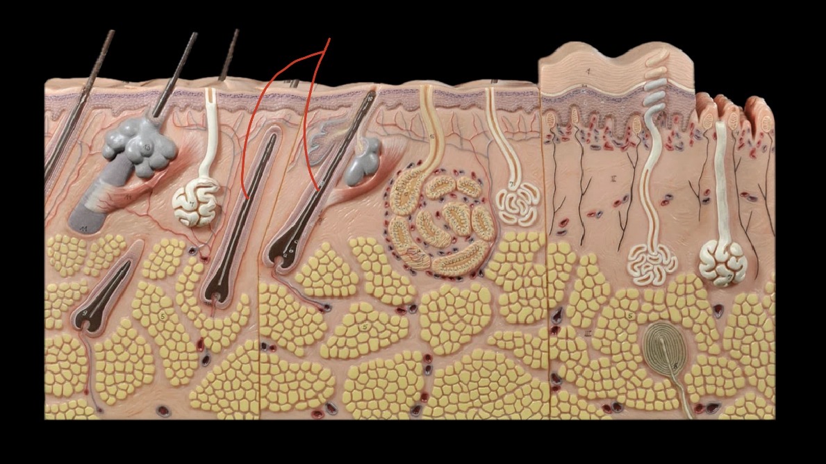 <p>What is this?</p>