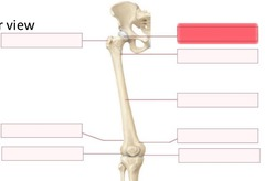 <p>What should go in the highlighted red blank?</p>