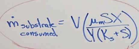 <p>why each of the terms affects the substrate consumption rate </p>