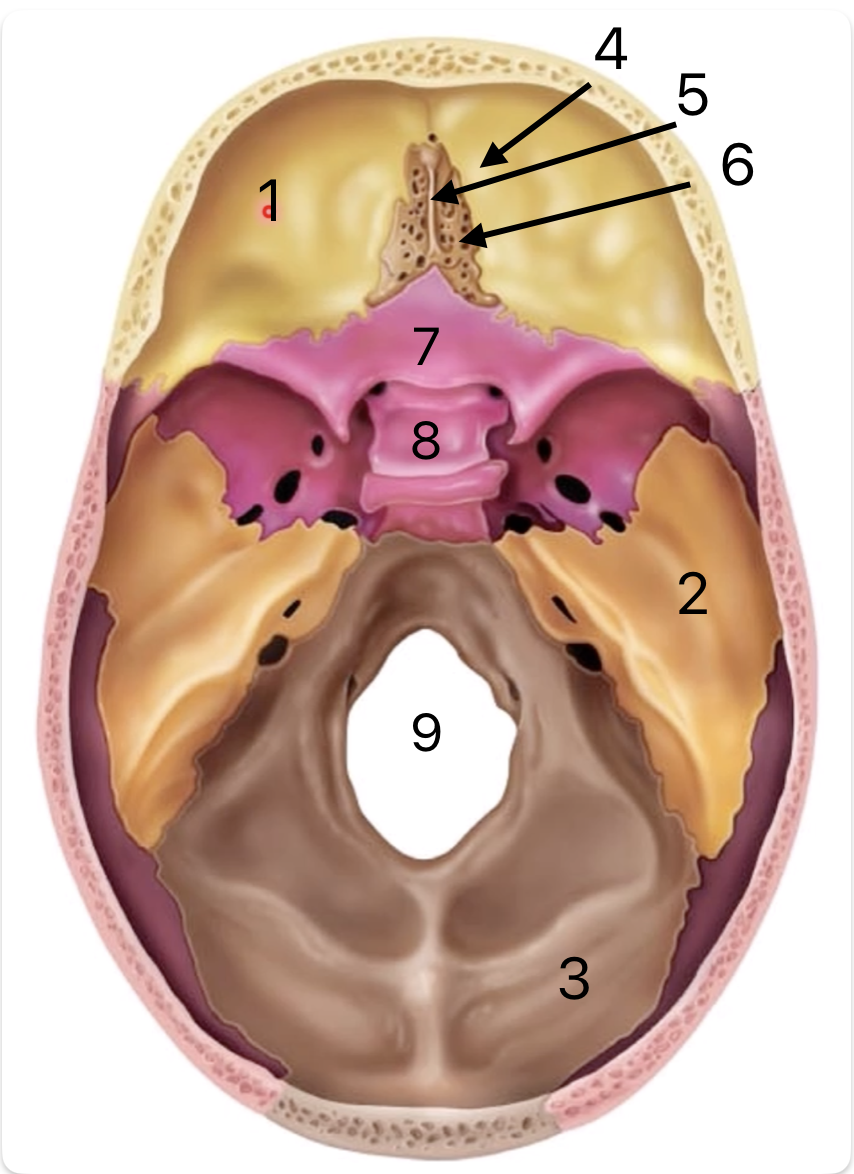 <p>2</p>