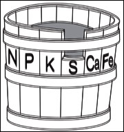 <p>single nutrients that limits productivity in an ecosystem</p>