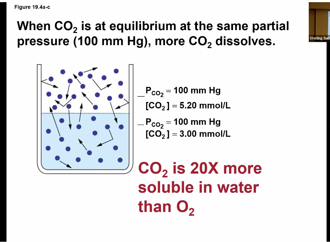 <p>last watched mar 24</p>